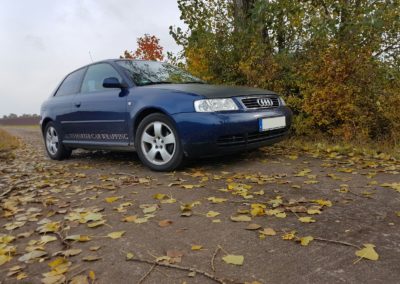 Folierung Motorhaube und Dach