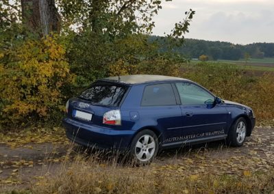 Folierung Motorhaube und Dach
