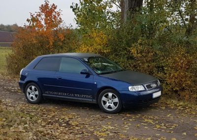 Folierung Motorhaube und Dach